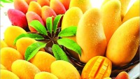Mango Nasıl Saklanır?