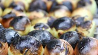 Ocakta Soğan Nasıl Közlenir?