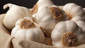 Soyulmuş Sarımsak Nasıl Saklanır?