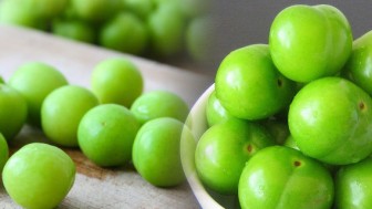 yesil erik nasil saklanir haber sizseniz haber sizseniz