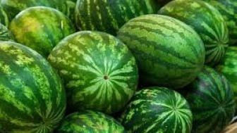 İyi Karpuz Seçmenin Püf Noktaları