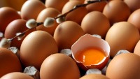 Bayat Yumurta Nasıl Anlaşılır?