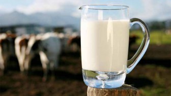 Sütün Bozulduğunu Nasıl Anlarız?