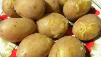 Haşlanmış Patatesin Bozulduğu Nasıl Anlaşılır?