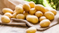 Patatesin Çürümesi Nasıl Engellenir?