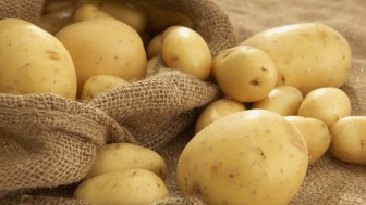 Patatesin Filizlenmemesi İçin Ne Yapılmalı?