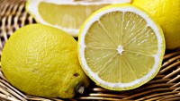 Limon Neden Küflenir?