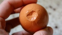 Haşlanmış Yumurta Nasıl Kolay Soyulur?